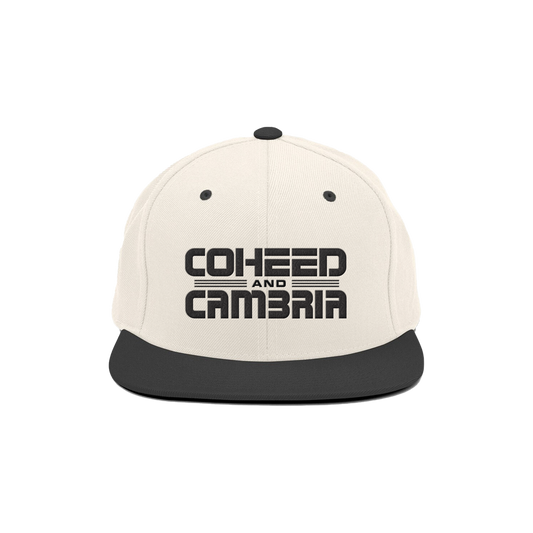 Vaxis Snapback Hat - Hat